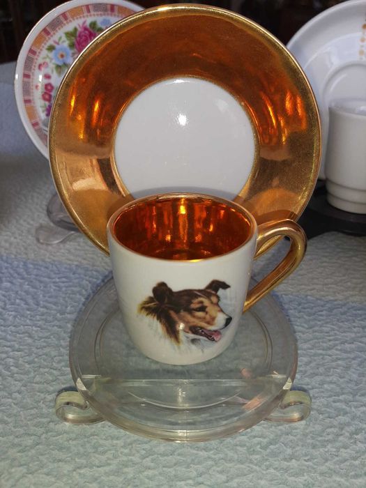 Varias chávenas (10) com pires e suportes