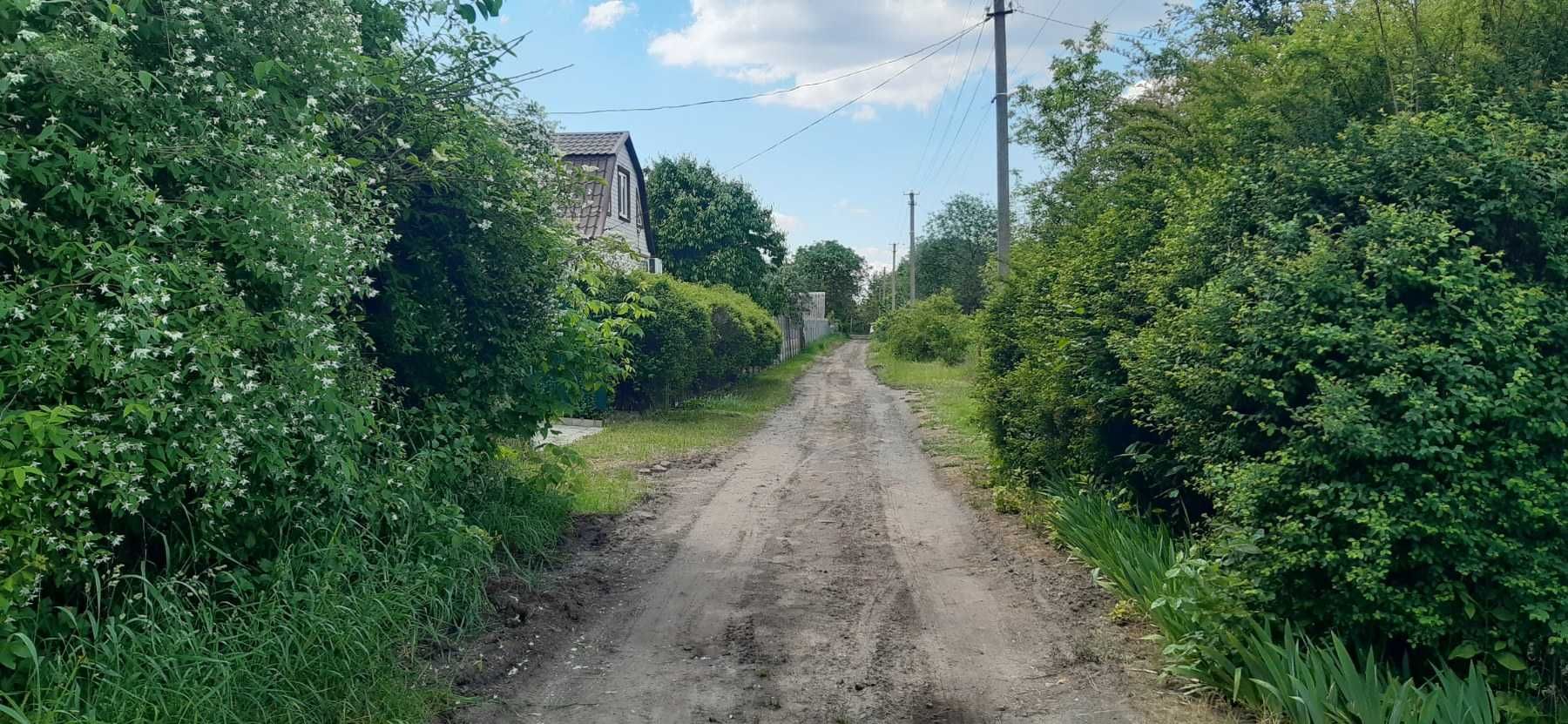 Дача. Ділянка з видом  на каналі Дніпра.