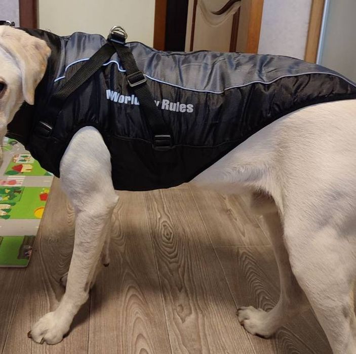 Світловідбивна зимова товста куртка для собак Black/Grey, 5XL Сірий