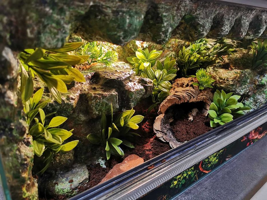 Terrarium 60x30x30 tropikalne dla gekon