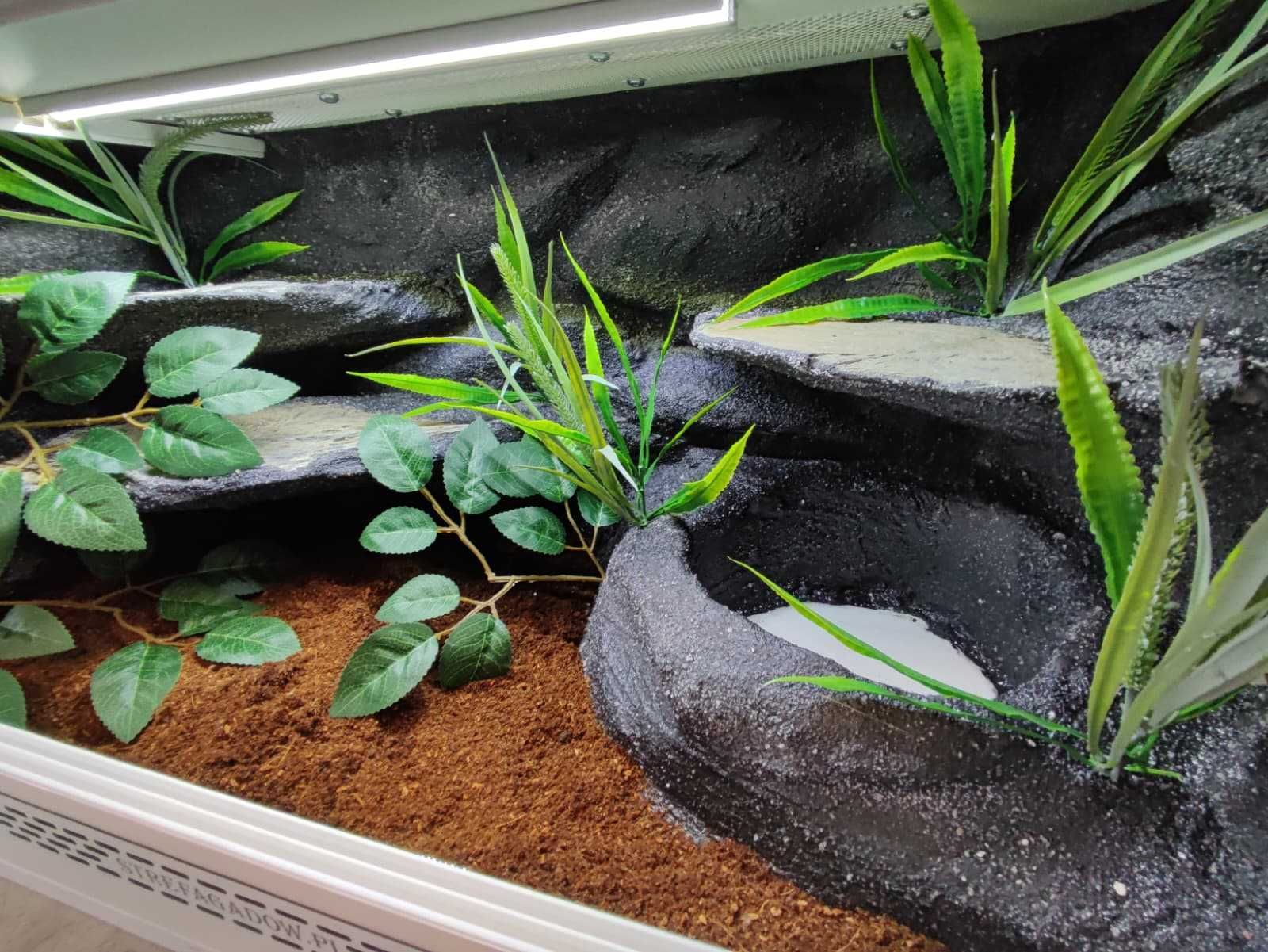 Terrarium tropikalne nr766 80/40/40 dla węża boa pyton  DOSTĘPNE