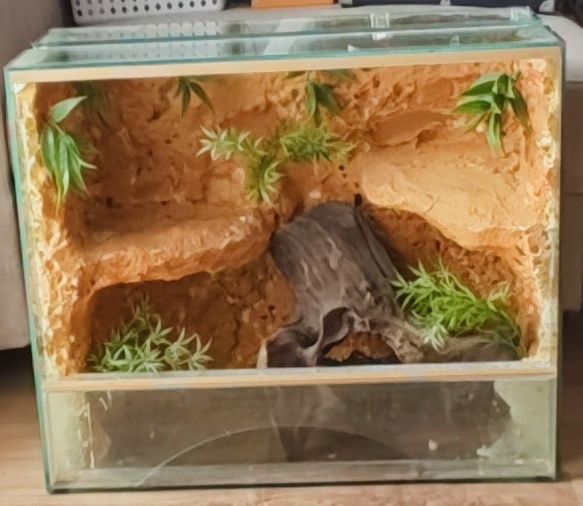 Terrarium 60/50/30 cm