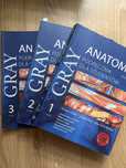 Anatomia Gray 3 tomy