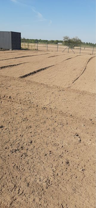 Kompleksowe usługi ogrodnicze koszenie wycinka drzew rębak areacja