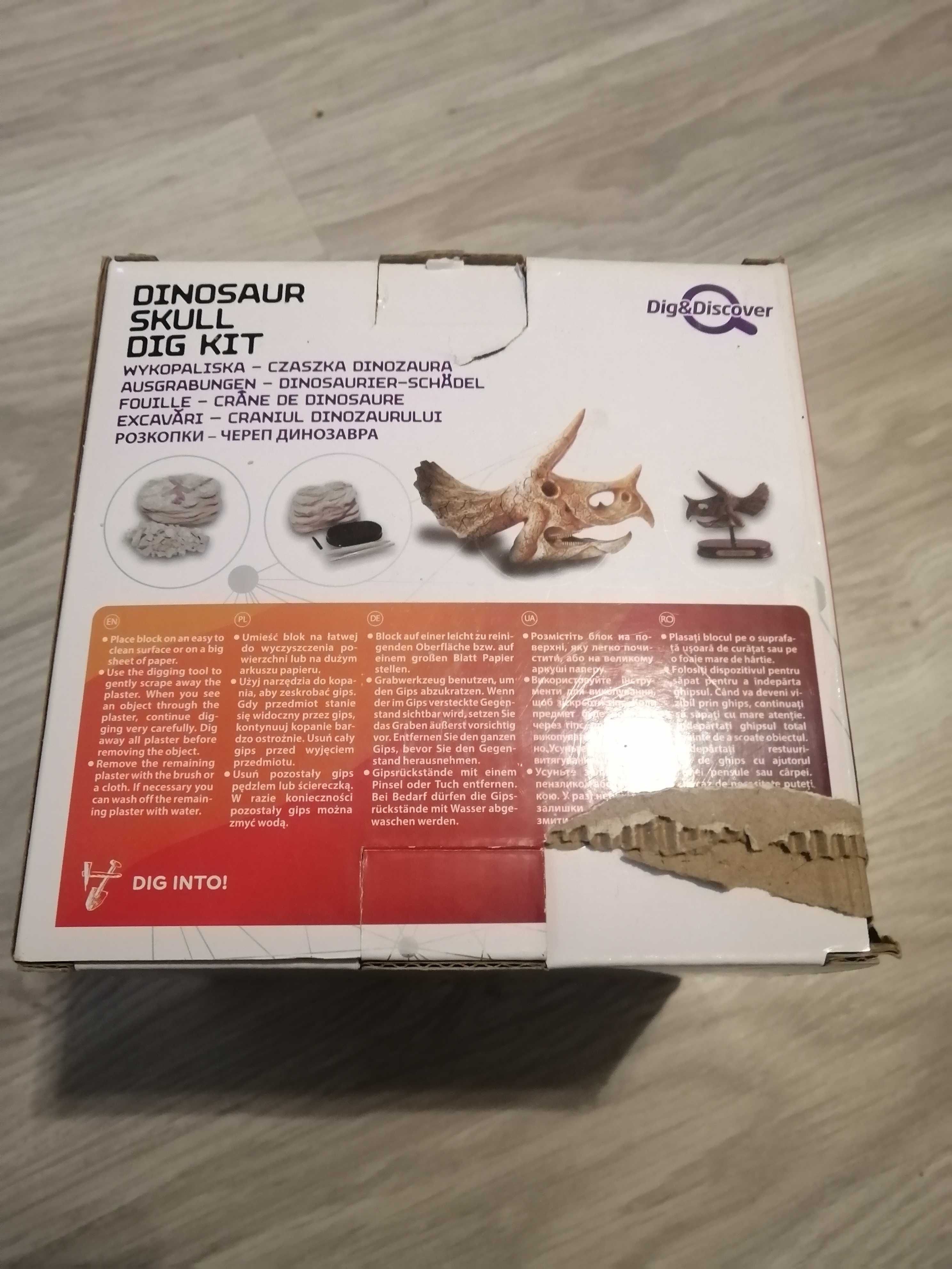 Dinosaur skull digo kit smiki wykopaliska czaszka dinozaura