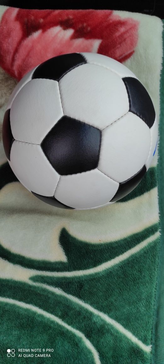 Футбольный кожаный мяч.
