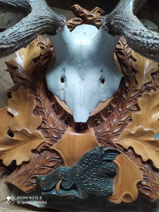 Роги оленя з різьбленою дошкою