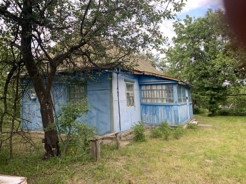 Будино в селі, сад, город