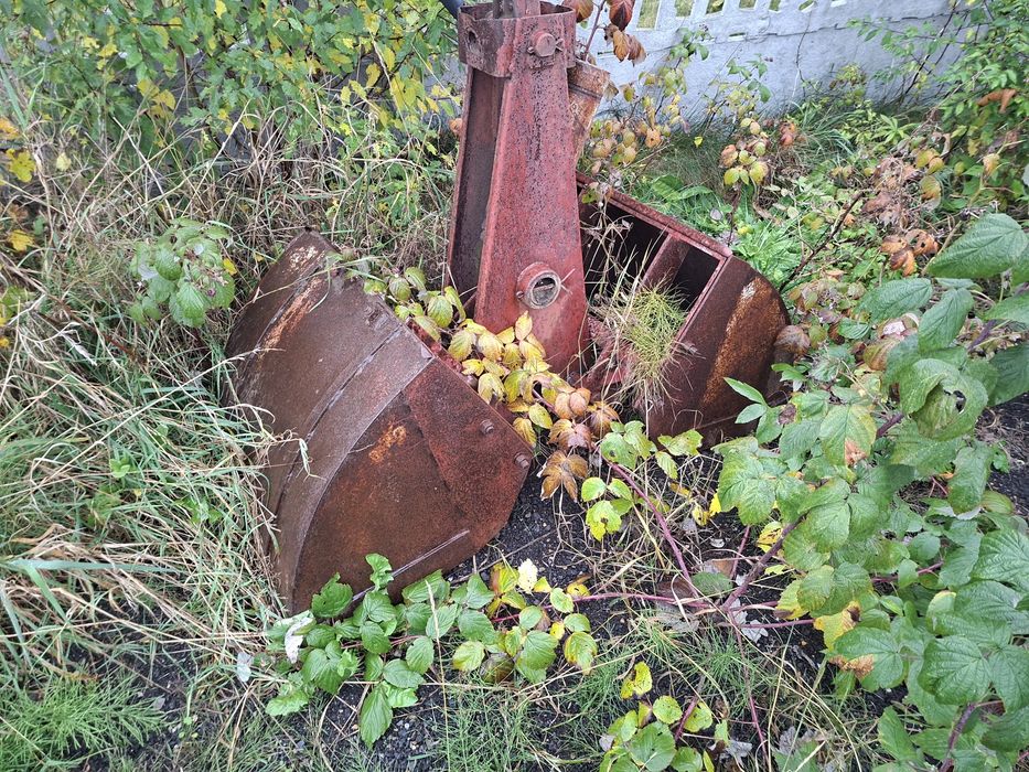 Cyklop polski w dobrym stanie