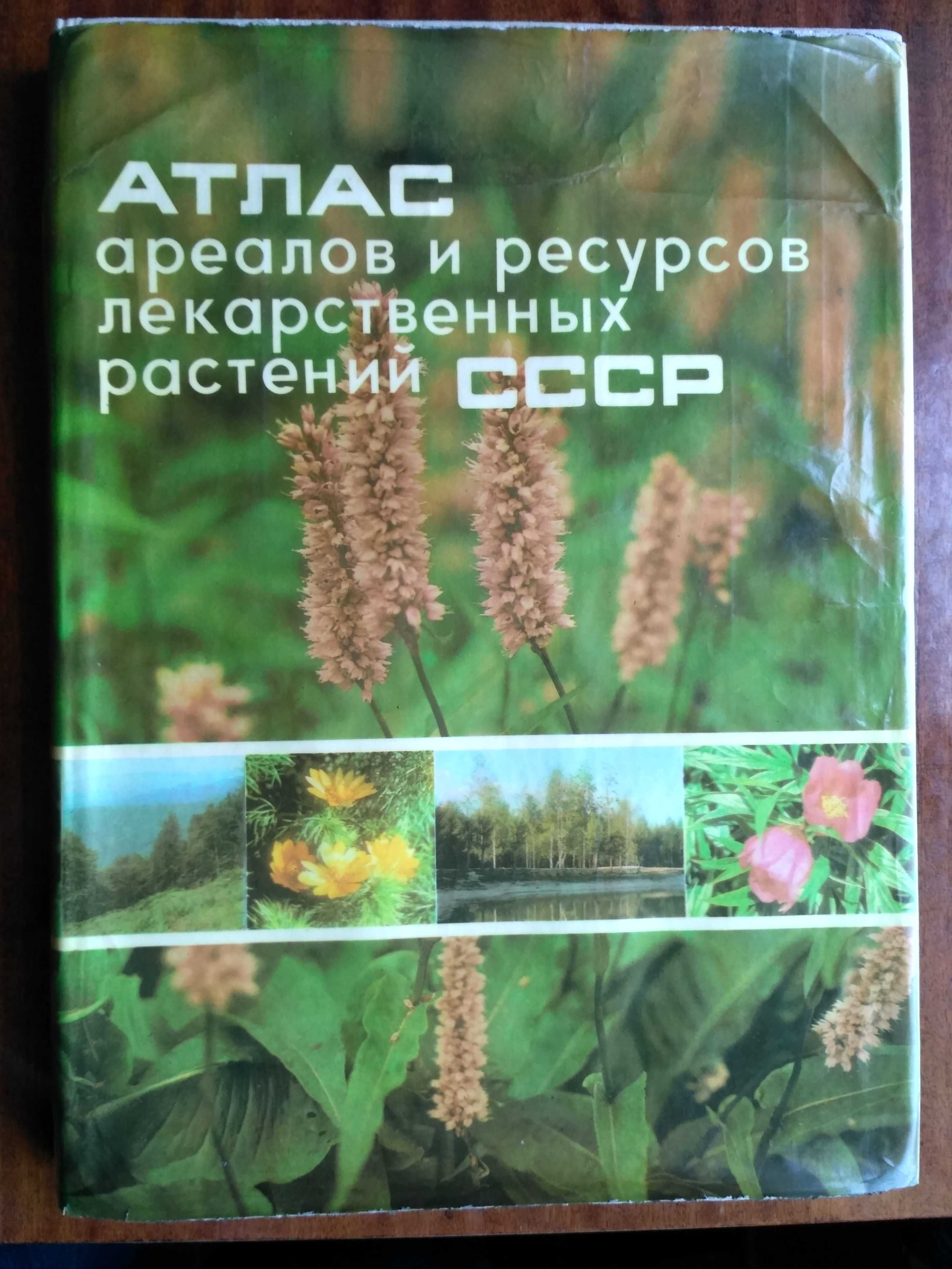 Атлас ареалов и ресурсов лекарственных растений СССР 39*29см