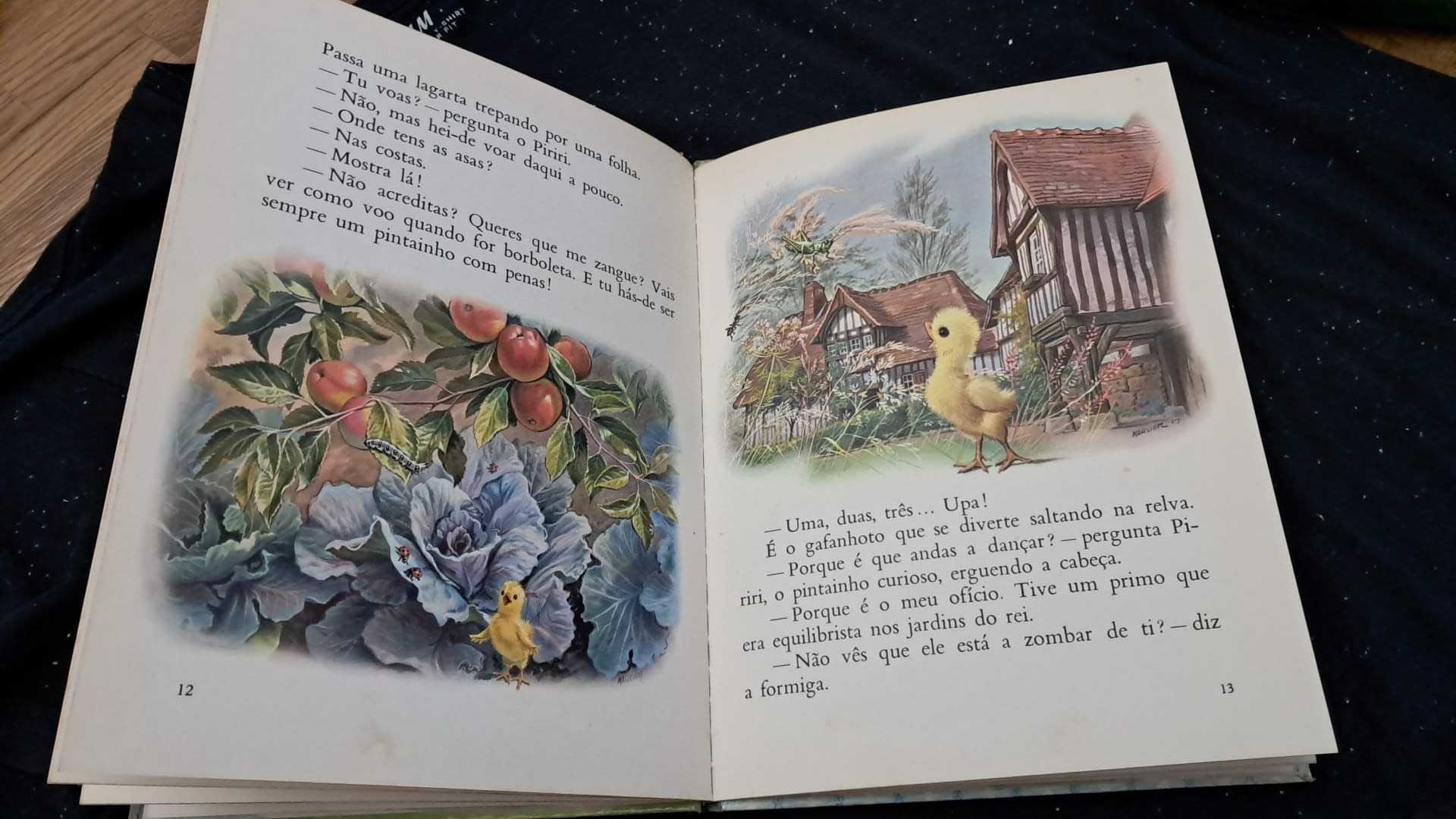 " Pintainho Curioso" (Verbo Infantil nº54)