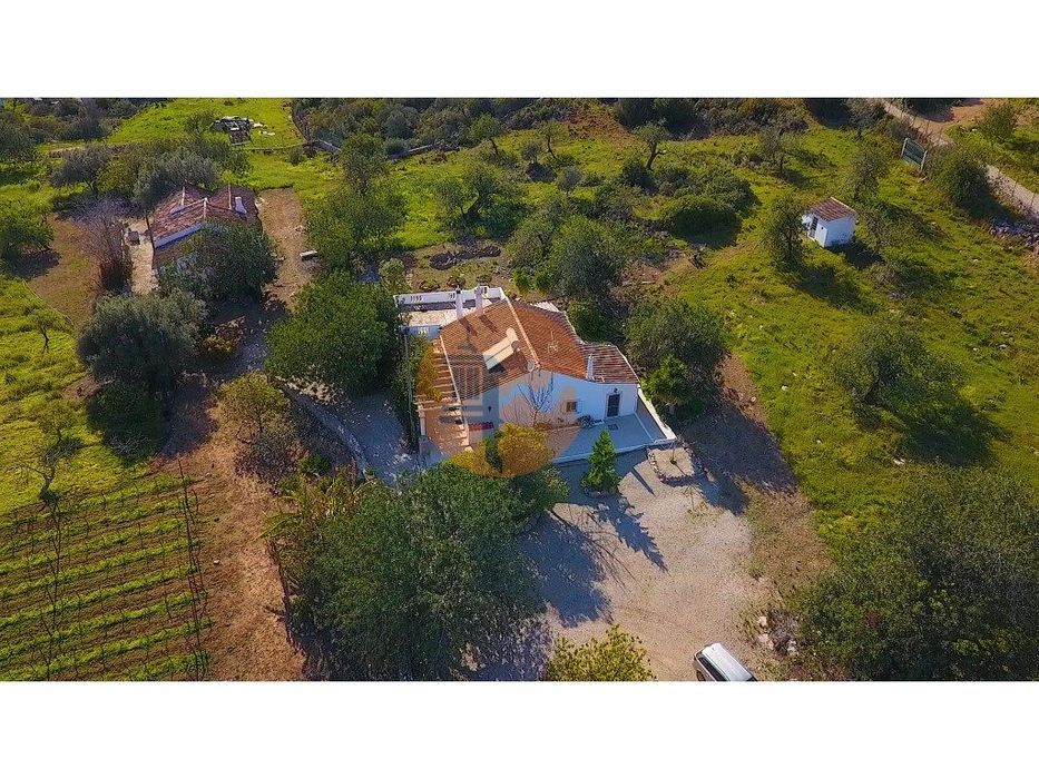 Magnífica Quinta em Santo Estêvão