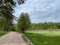 Działka rolna 3000m2 gmina Biała Piska