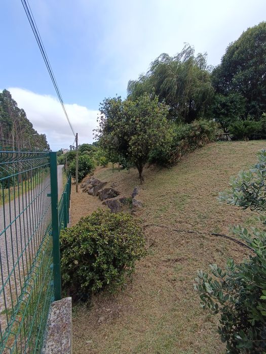 Disponível jardineiro particular para cuidar do seu espaço