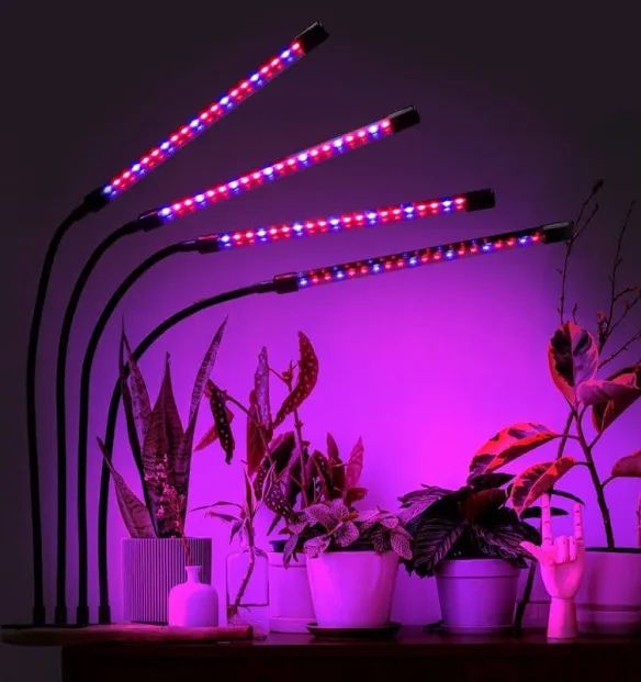 Lampa do wzrostu roślin 4x80 LED z timerem