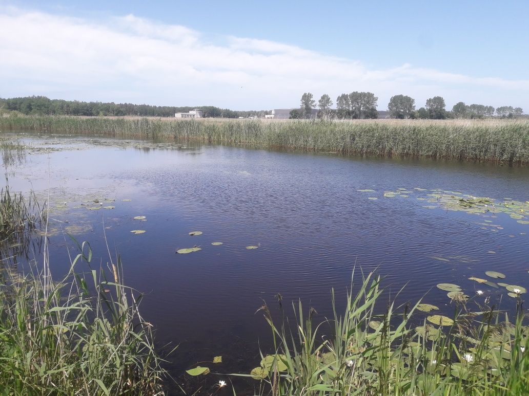 Domki Letniskowe Dąbki Darłowo Bobolin Kwiatowa 12