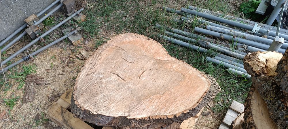 Plastry drewna z jesionu