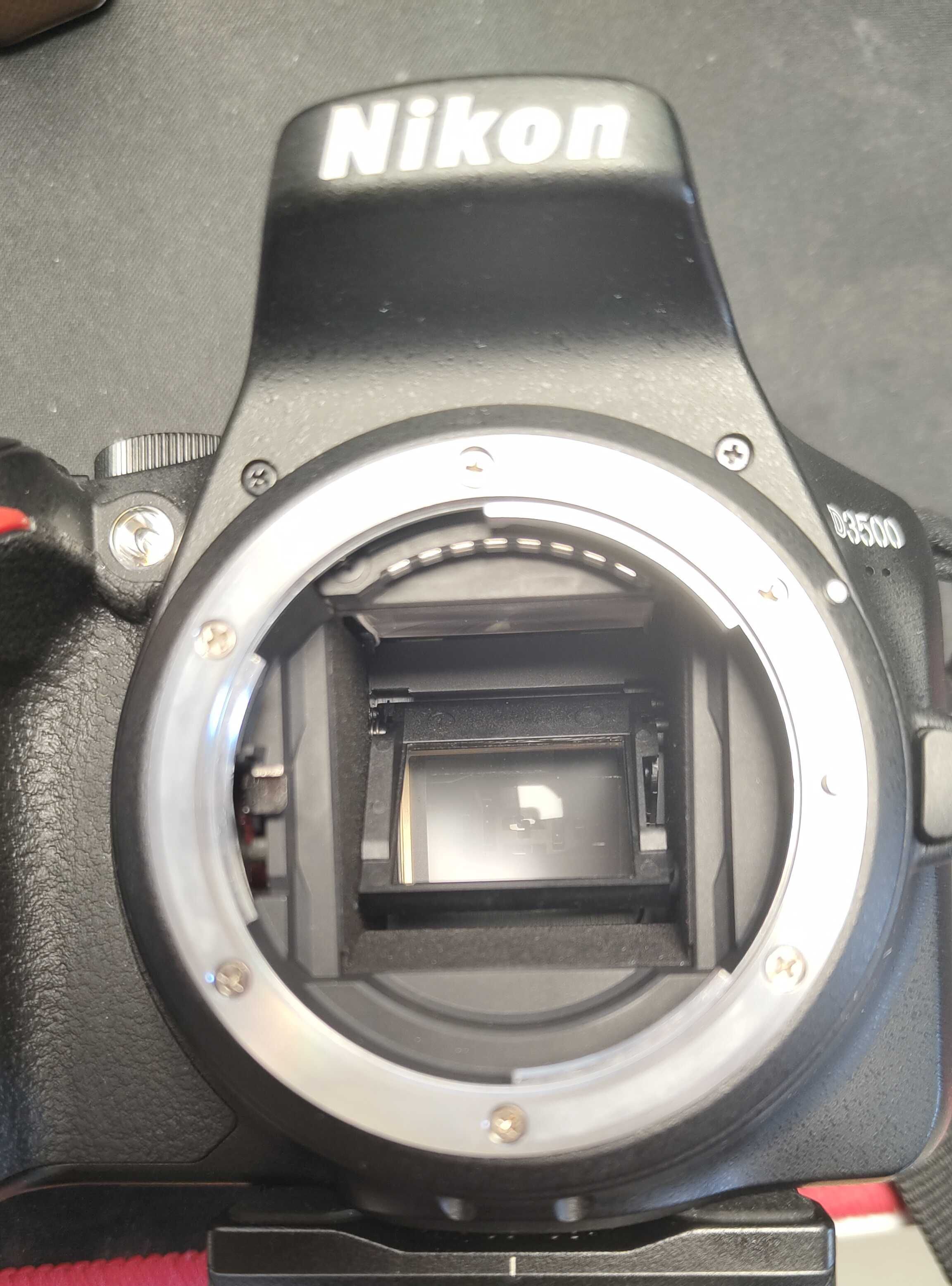 Nikon D3500 + Nikkor AF-P 18-55mm DX VR 3.5-5.6G