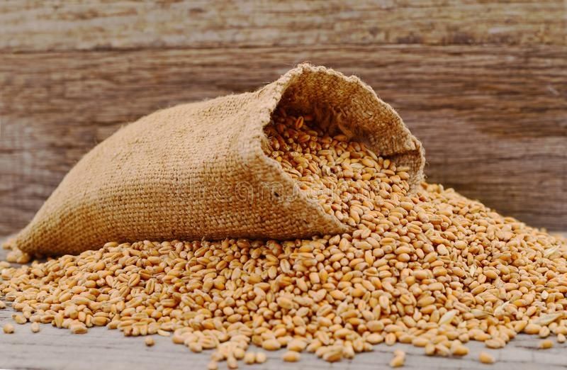 Продам пшеницю 6 грн за 1 кг