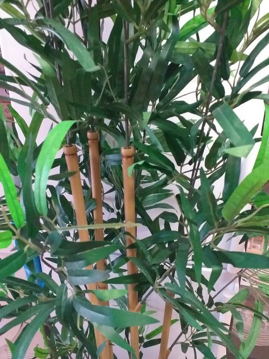 COMO NOVA Planta artificial bambu IKEA 170 altura,valor fixo