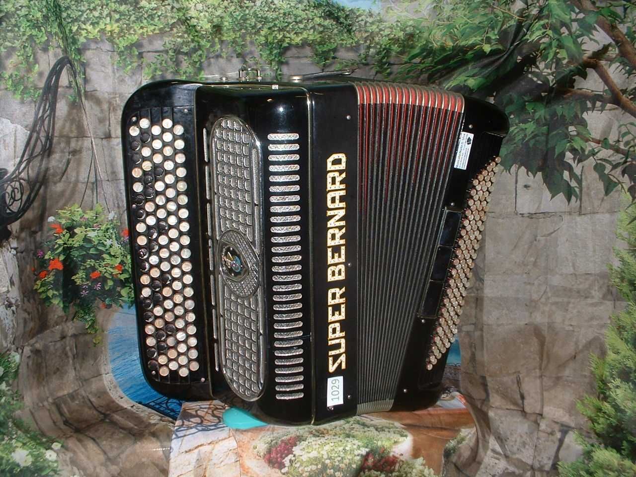 Acordeão em Promoção med de Maio G  n.1029