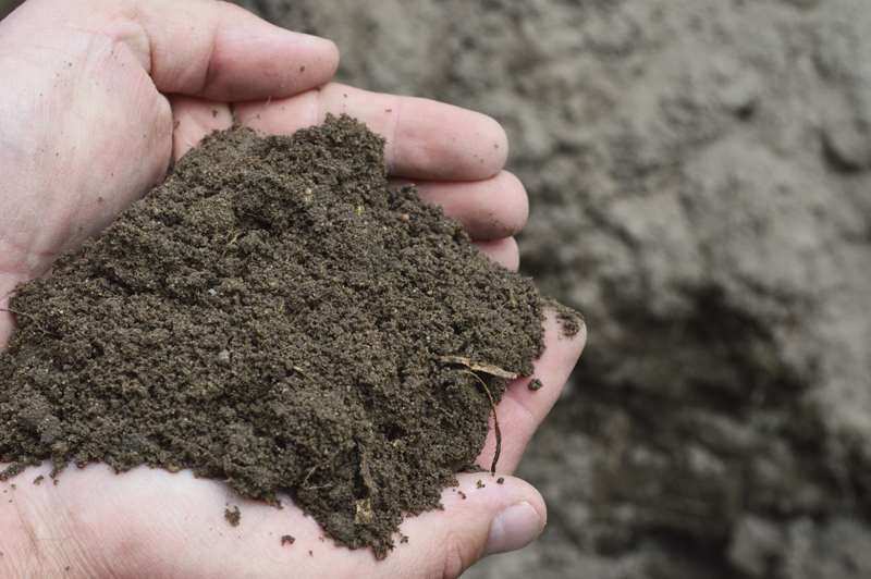 Ziemia Przesiewana pod trawniki do ogrodu