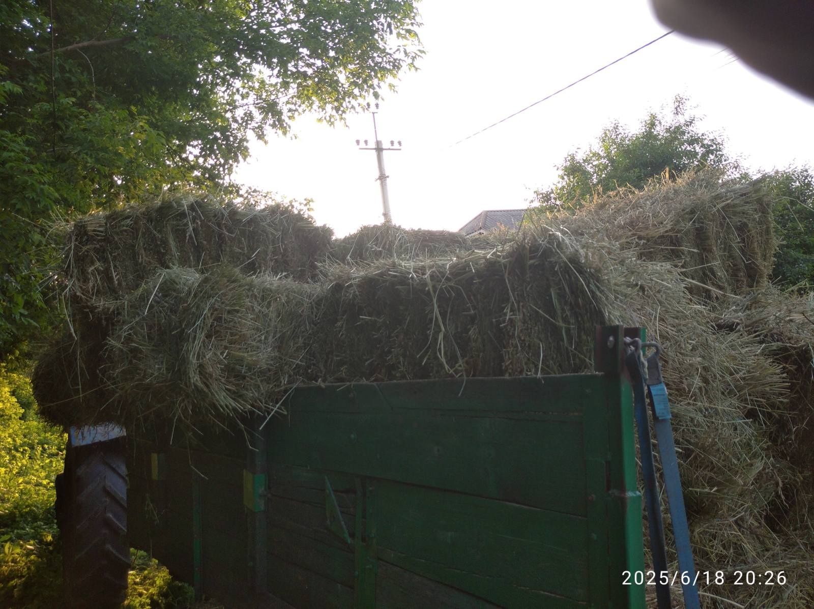 Продам тюки сіна