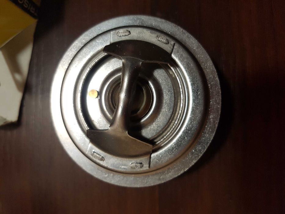 Термостат TRISCAN