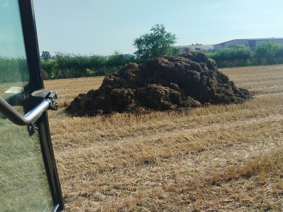 Obornik bydlęcy Transport