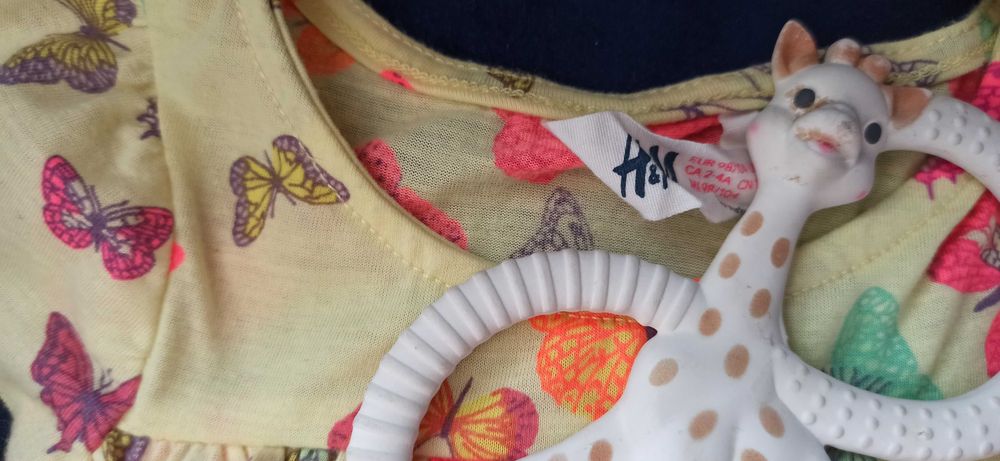 Urocza sukienka w motylki H&M 62