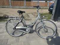 Rower gazelle holenderka