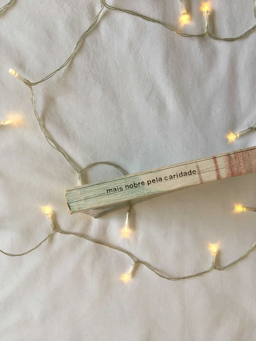 Livro Mais nobre pela caridade - portes incluídos