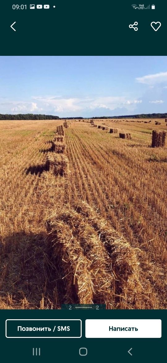 Солома овсяна в тюках