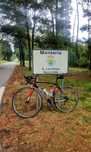 Bicicleta Specialized Allez Elite