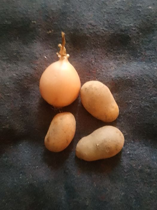 Приму в дар овощи