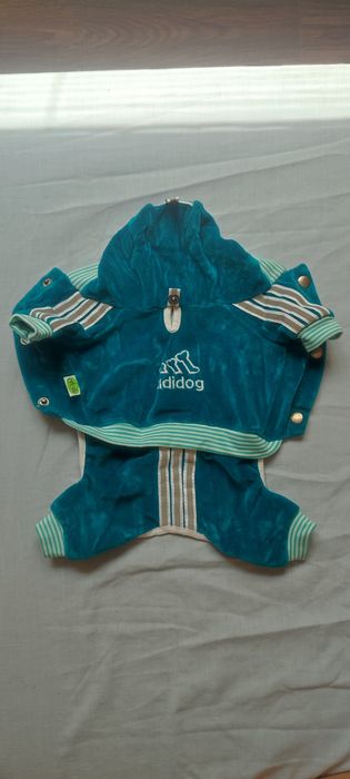 Одяг та намордник для собак