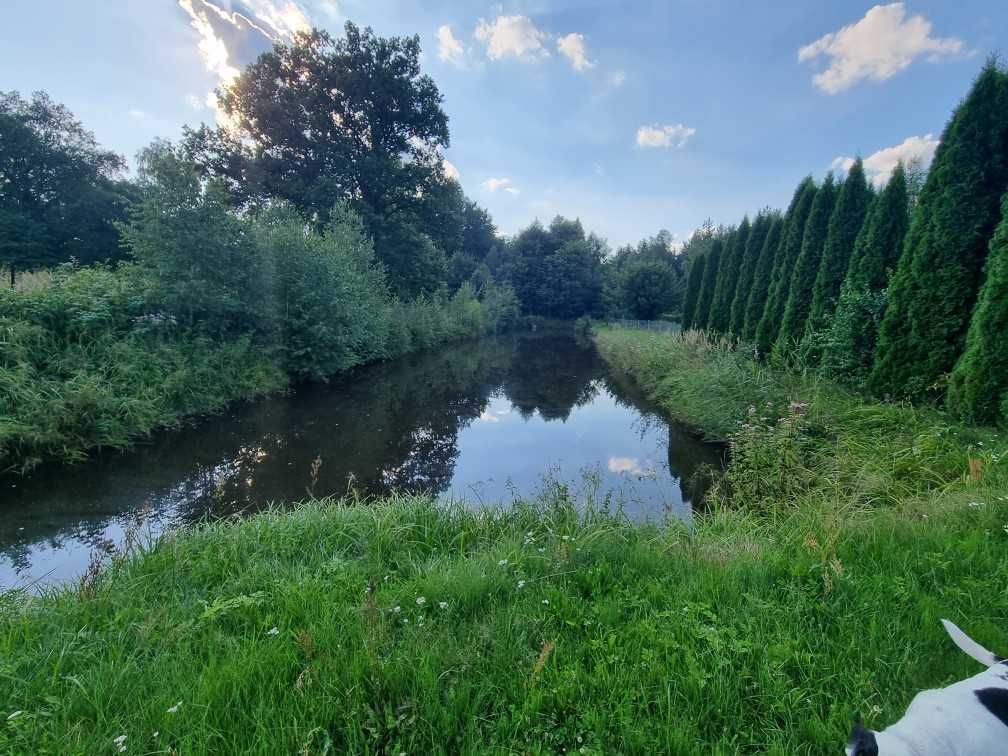 Siedlisko wraz z lasami i budynkami