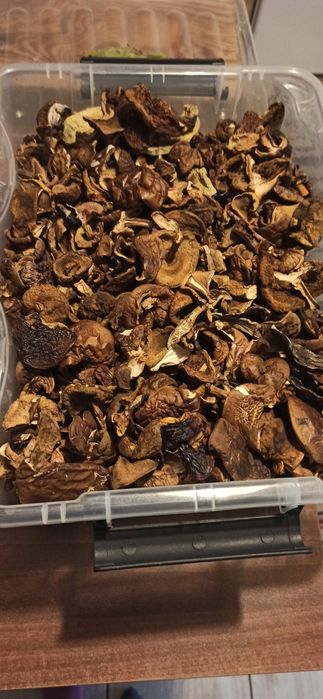 Suszone podgrzybki!! Tegoroczne!!