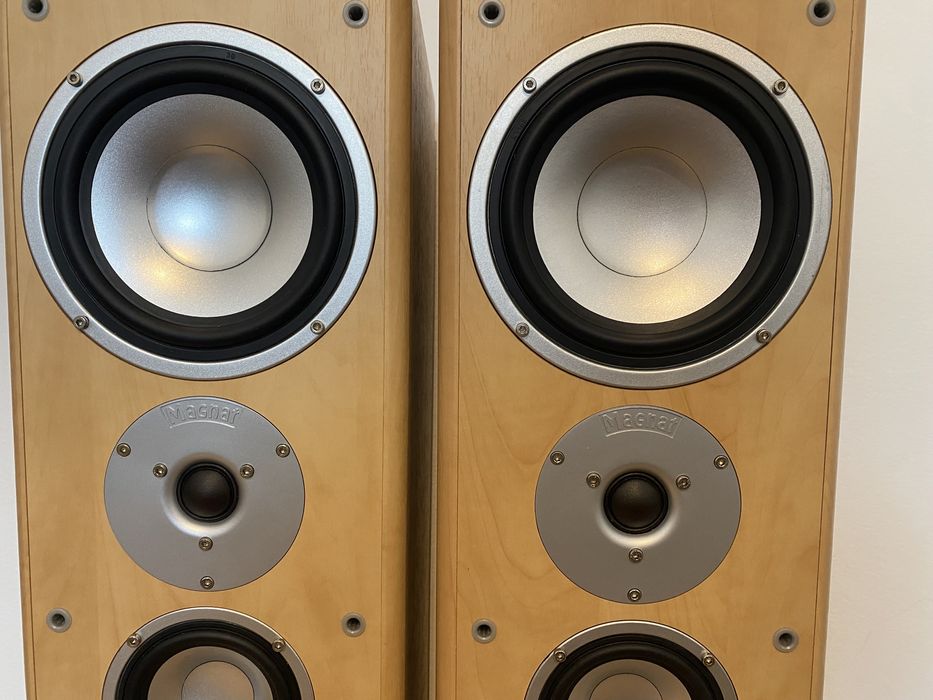 Акустика колонки Magnat Motion 1000