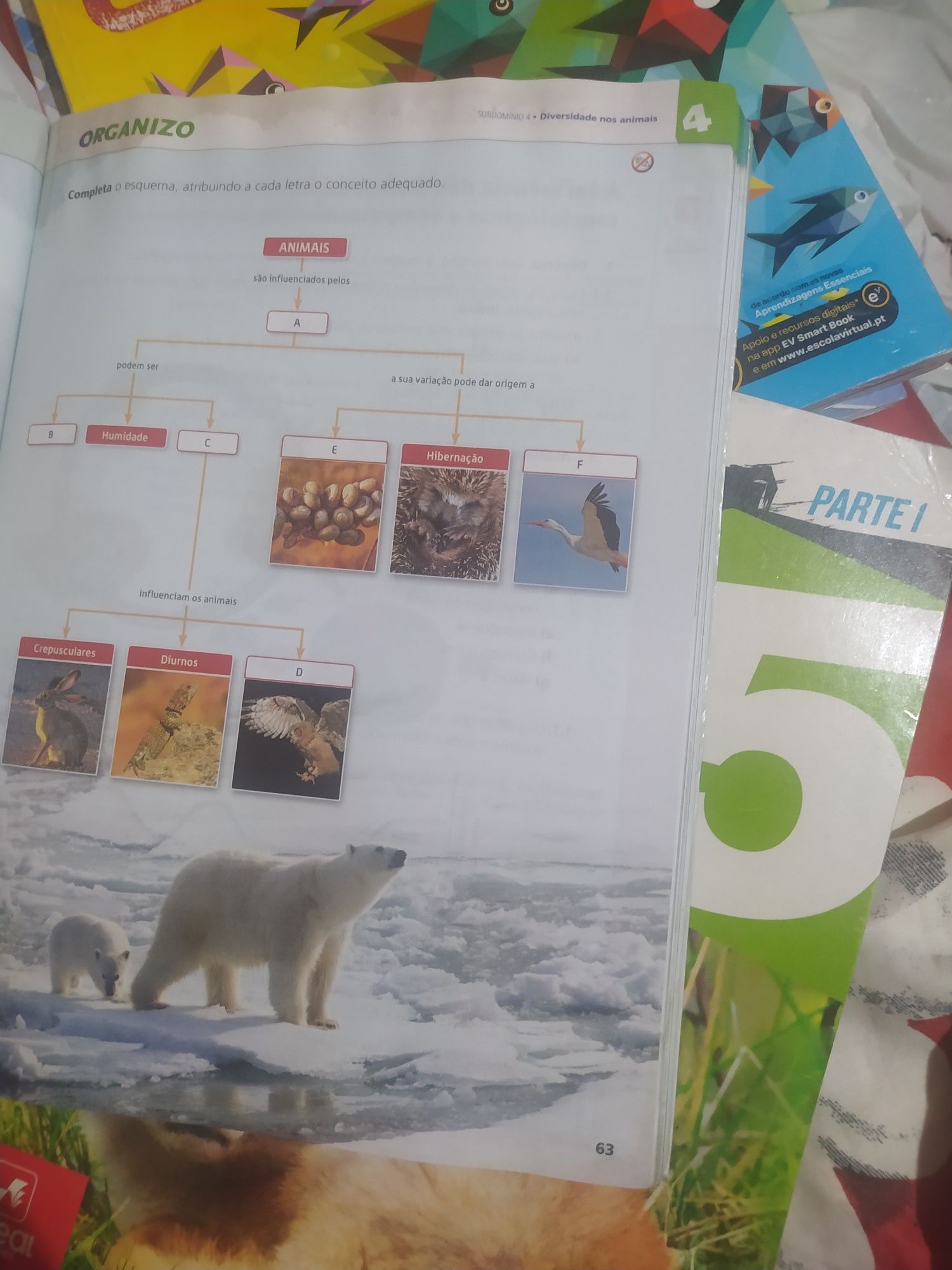 Csi ciências naturais 5 ano conjunto dois livros