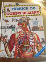 Fábrica do corpo humano