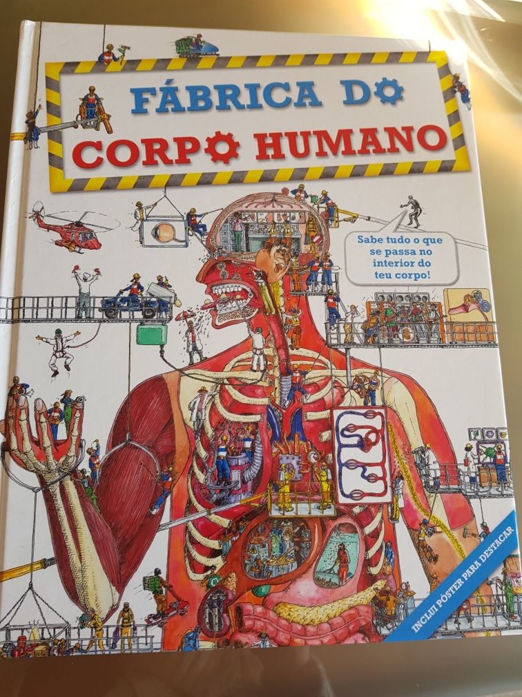 Fábrica do corpo humano