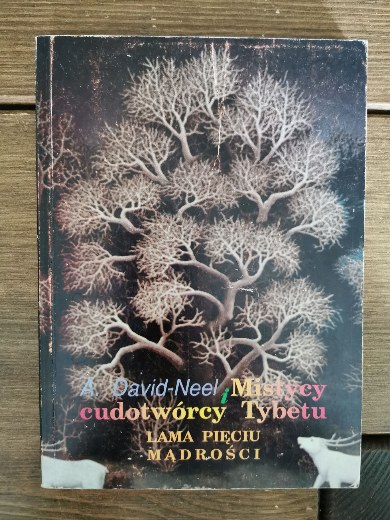 Mistycy i cudotwórcy Tybetu - A. David - Neel