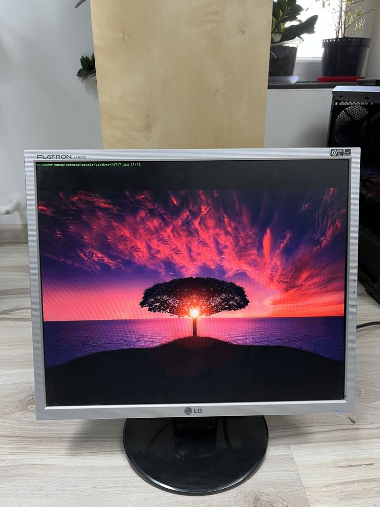 Monitor LCD 19” LG Flatron L1953S używany