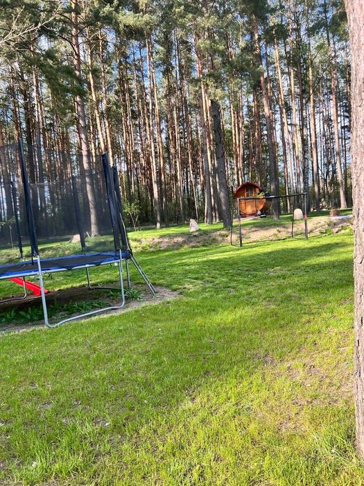 DOMEK POD SOSNAMI bania&sauna Ełk-Chrusciele