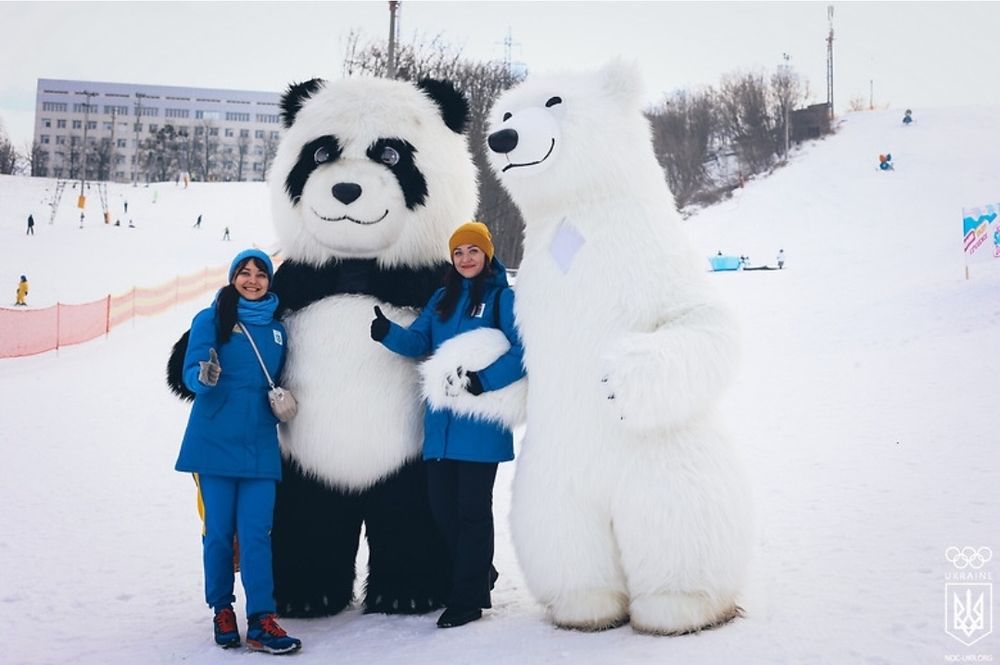 Панда, білий мішка, пес Патрон, зайка - кульки в подарунок!