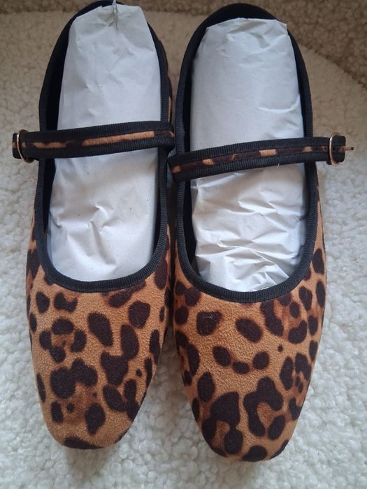 Sabrinas leopardo novas
