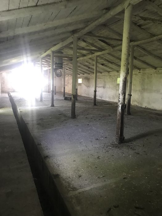 Продам ферму 5,65га землі, 3147м.кв. Будівель