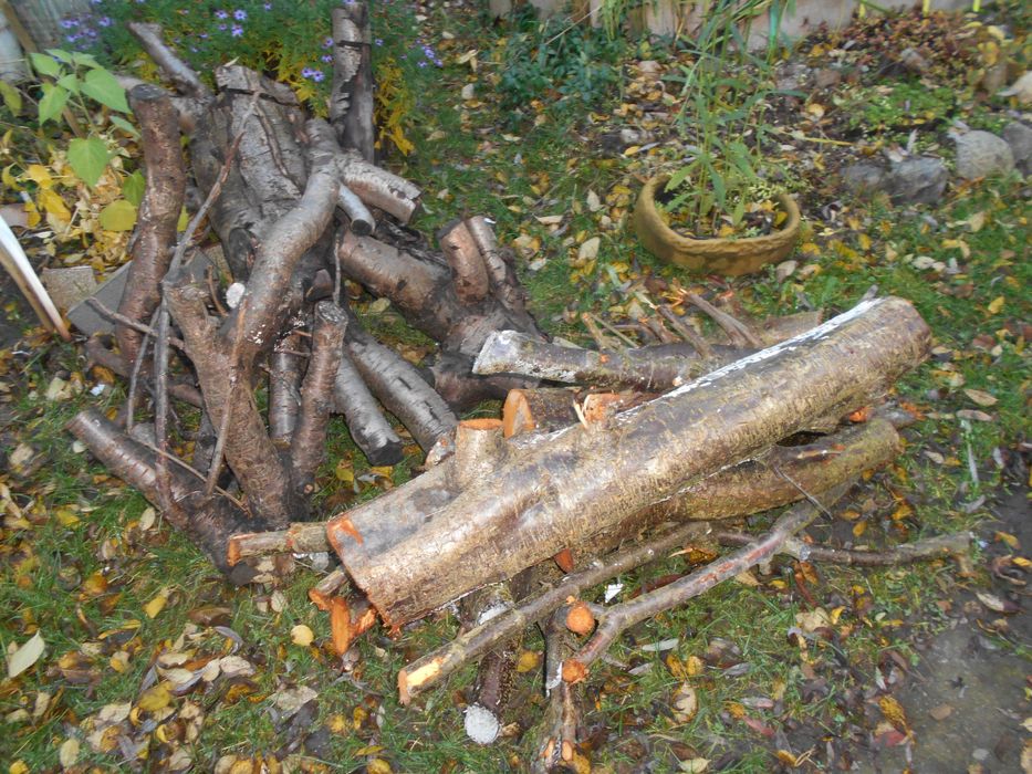 Sprzedam tanio drewno liściaste do kominka lub pieca