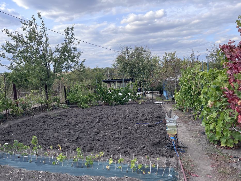 Продам дачу 10 соток Радист відразу біля ставу